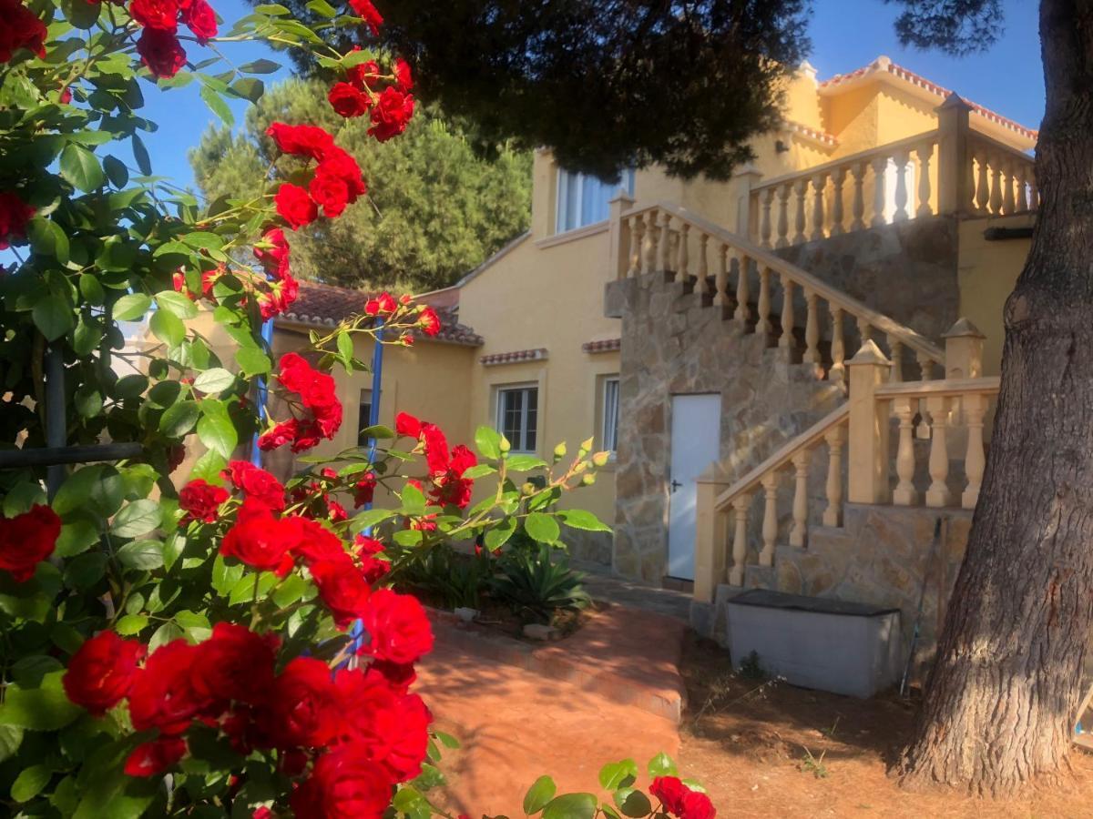 Villa Eliza Dénia Extérieur photo